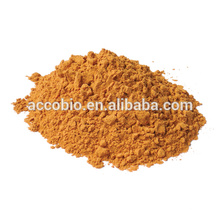 Natural ingredients Red Ginseng Extract Powder, overall health